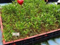 230506-rooftopdisplay-10