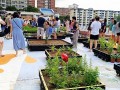 230506-rooftopdisplay-11