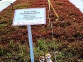 230506-rooftopdisplay-12