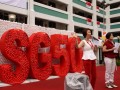 sculpture-plasticballs3