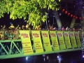 Largest Sing-Along Concert