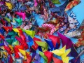 190707-map-butterflies-08