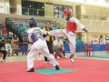 Largest-Taekwando-Competition-19