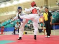 Largest-Taekwando-Competition-23