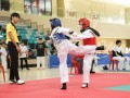 Largest-Taekwando-Competition-5