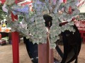 Largest Tree Sculpture with wishes on leaves (1)