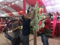 Largest Tree Sculpture with wishes on leaves (9)