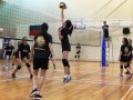 volleyball-shuqun20