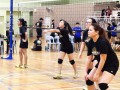 volleyball-shuqun27