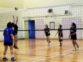 volleyball-shuqun29