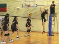 volleyball-shuqun39