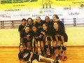 volleyball-shuqun50