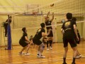 volleyball-shuqun57