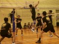 volleyball-shuqun58