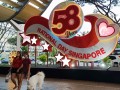230806-wordform-pets-owners01