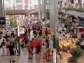 230806-wordform-pets-owners07
