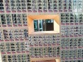 230806-wordform-pets-owners17