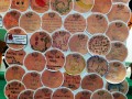 word-pledgecards17