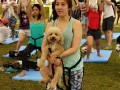dogyoga10