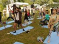 dogyoga11