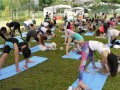 dogyoga16
