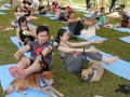 dogyoga19