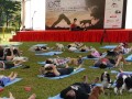 dogyoga20