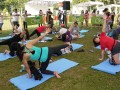 dogyoga9