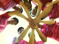 badminton-wongfamily15