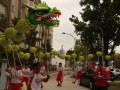 Longest Dragon Dance Made Of Pineapple Lanterns