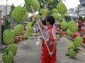Longest Dragon Dance Made Of Pineapple Lanterns