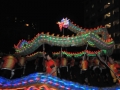 Longest Dragon Dance Made Of Plastic Bottles