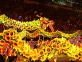 dragon-plasticflower4