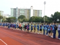 Longest Human Chain Walk