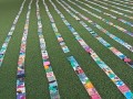 230808-line-canvases13