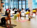 220227-yogarelay-06