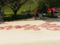 Longest Sand Sculpture