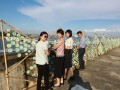 longest sculpture made of plastic bottles (7)