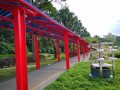 201031-solarwalkway11