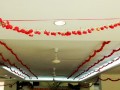 roses-string5