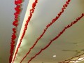 roses-string7