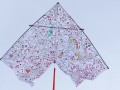 pledgekite2a