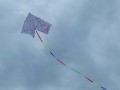 pledges-kite2