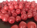 apple balloons_30mins (8)