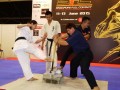 karate-baseballbats6