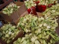 190602-ketupat-08