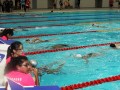 swim-1hr17