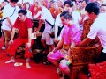 trance-bao7