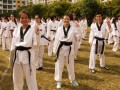 Most Number Of People In A Board-Kicking Sequence