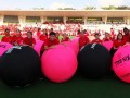 pushballs20-1